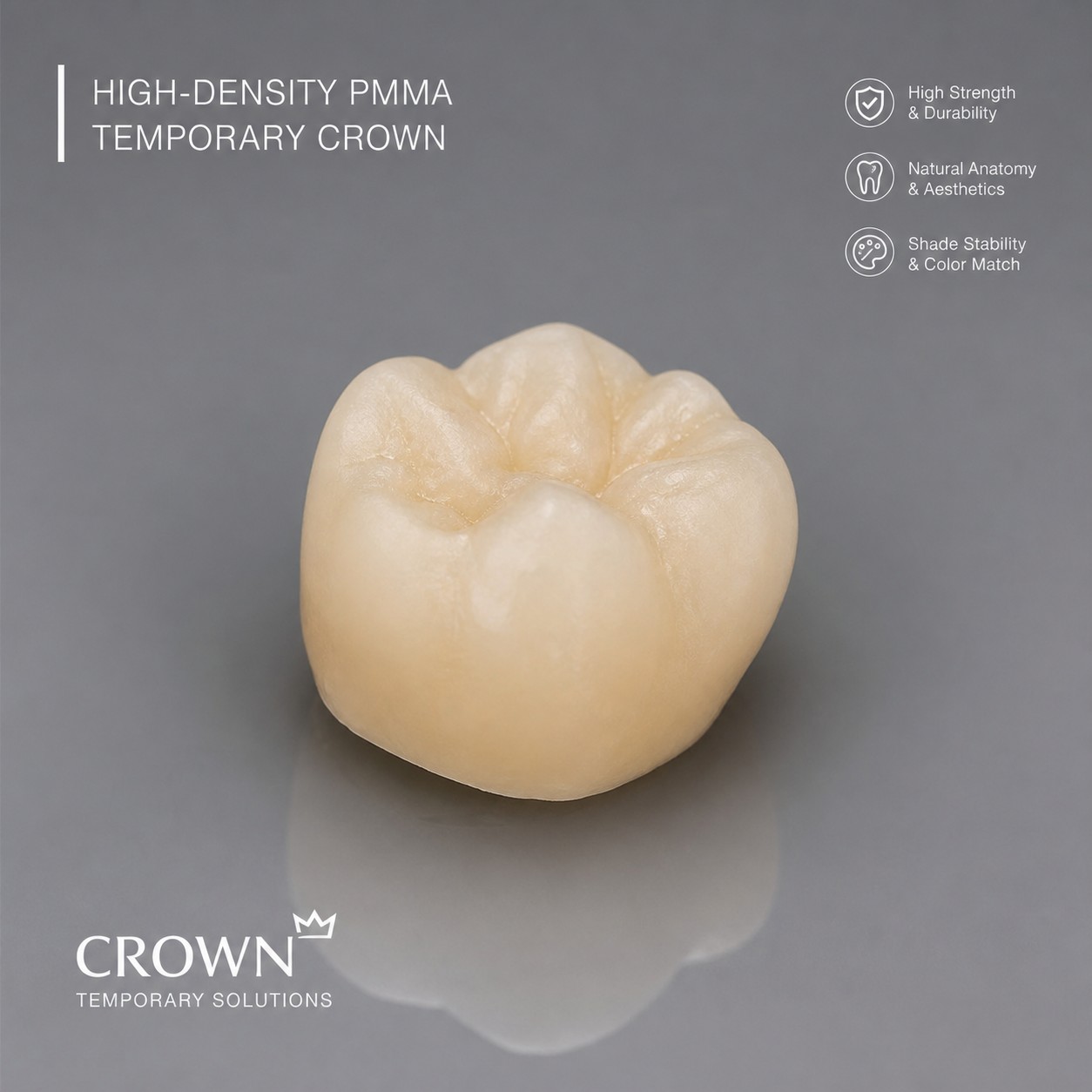 Provisional PMMA